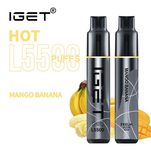 IGET HOT L5500 Disposable Pod Device – Mango Banana
