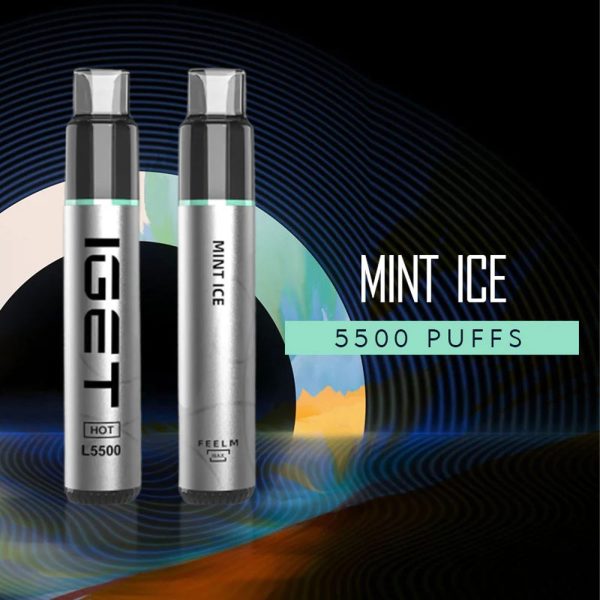 IGET Nicotine Vapes – Mint Ice